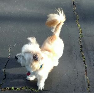 Meet your Posher, Jaime